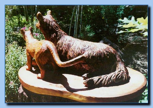 2-11a wolf and cat-archive-0003